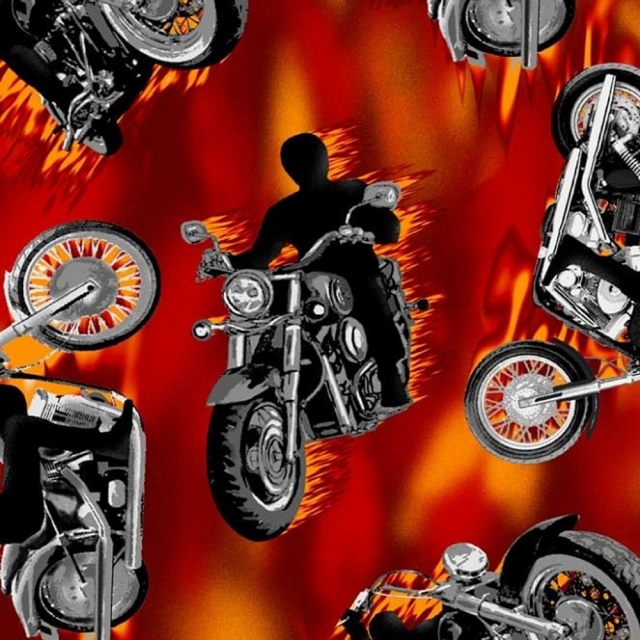 Motorcycle Fleece Fabric