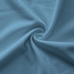 C Blue Pro Mesh Heavy Jersey Fabric